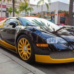Automobiliai monstrai. Variklio galia atima žadą...