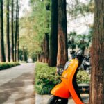 Elektrinių paspirtukų remontas Kaune: išsamus vadovas dažniausioms problemom...